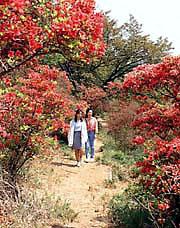 矢祭町に日当制議員誕生