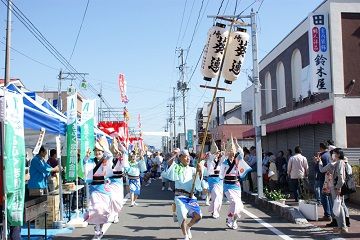 141103阿波踊り