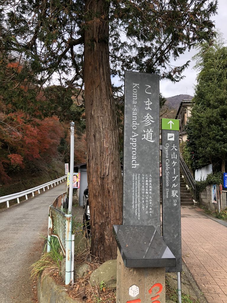 大山へ 紅葉狩りと秋野亥左牟原画展 みどりの緑陰日記 大山へ 紅葉狩りと秋野亥左牟原画展 みどりの緑陰日記