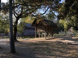 IMG_1947