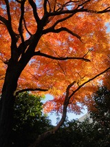 IMG_9418(Edited)