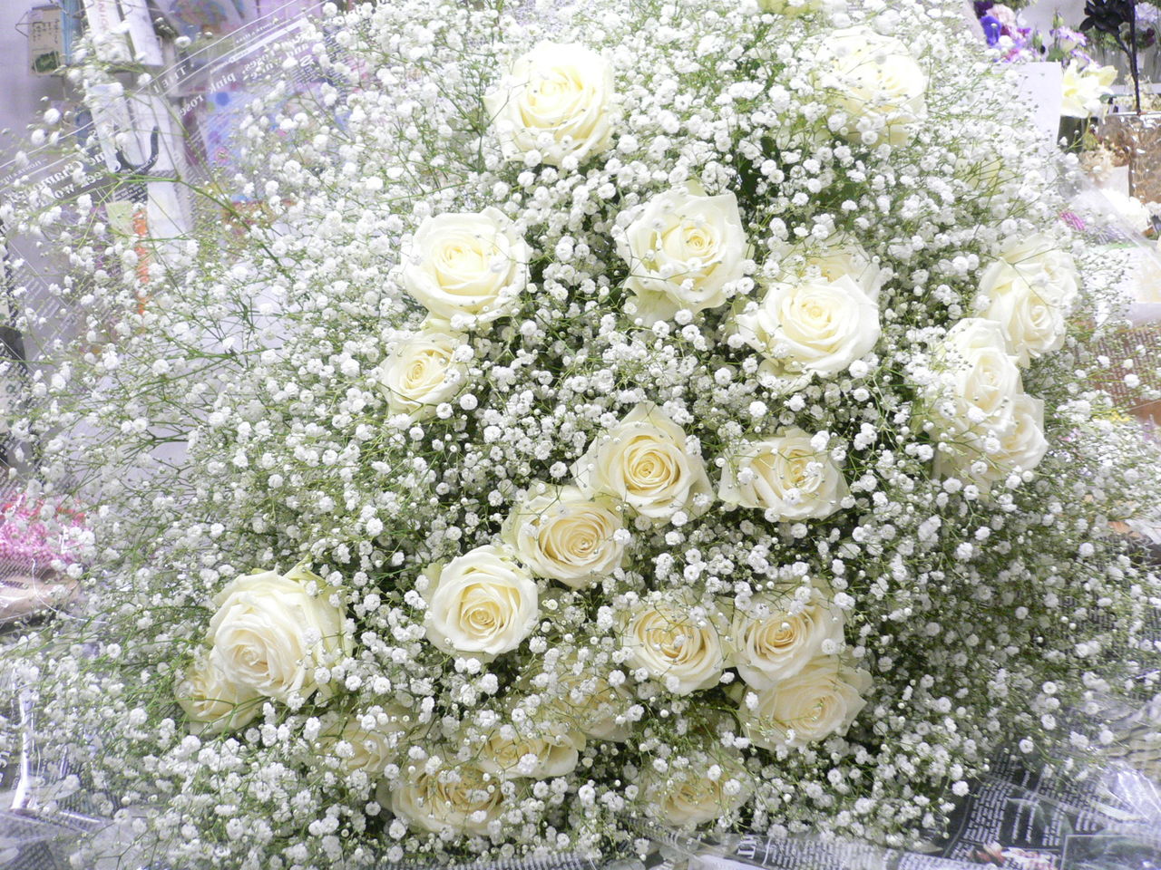 恩師 逝く 雪の降った日に みどりの緑陰日記 恩師 逝く 雪の降った日に みどりの緑陰日記