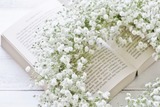 97b1a5d4f729fea3101272c77d3450f0_t