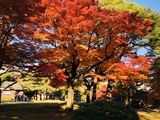 IMG_9409(Edited)