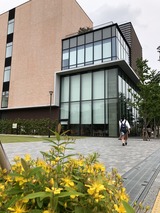 IMG_7042