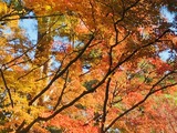 IMG_9428(Edited)