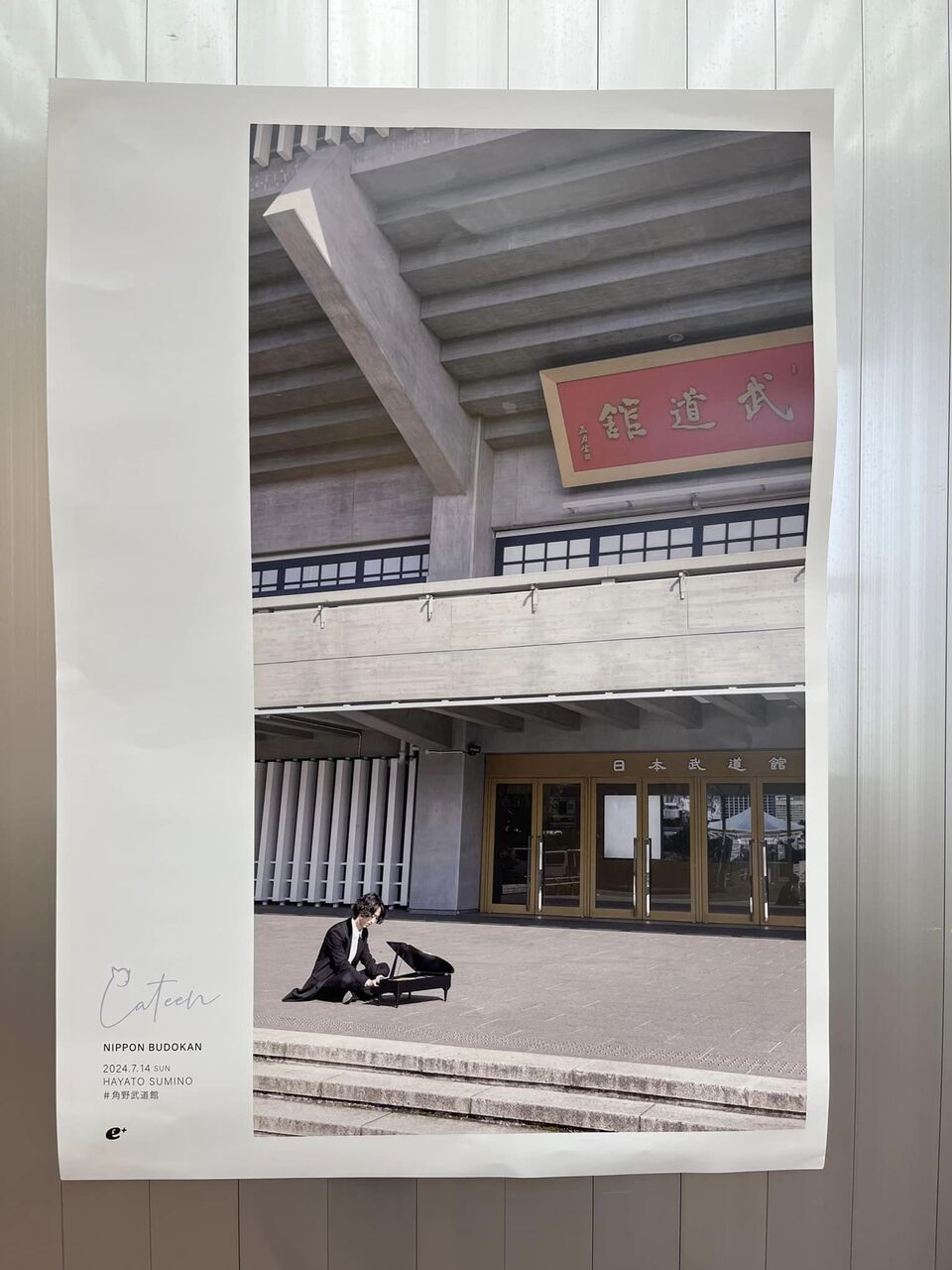 最終値下げ 角野隼斗 Cateen サイン色紙 最終値下げ 角野隼斗 Cateen サイン色紙 2025年最新】角野隼斗