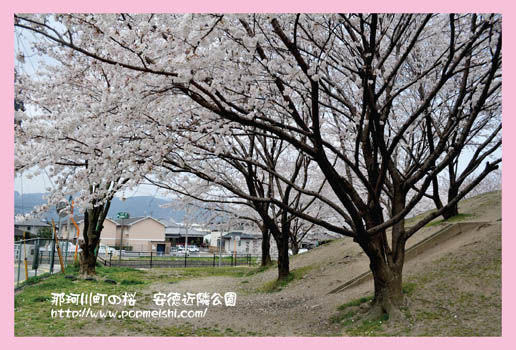 那珂川町 安徳近隣公園の桜 ほっぷ名刺の写真室ブログ