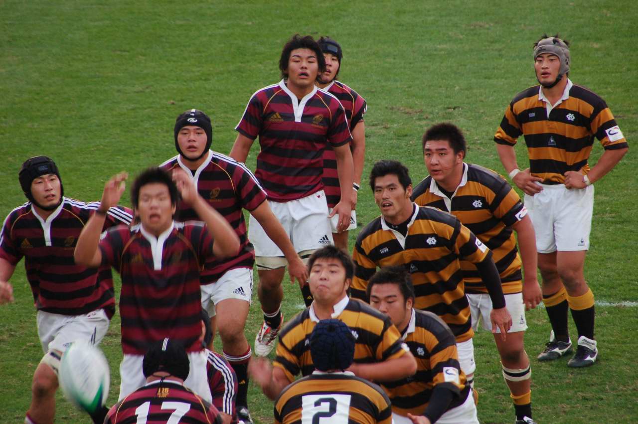 観戦記】タイガージャージ、早稲田に完敗 : ポポのがんがれ日記