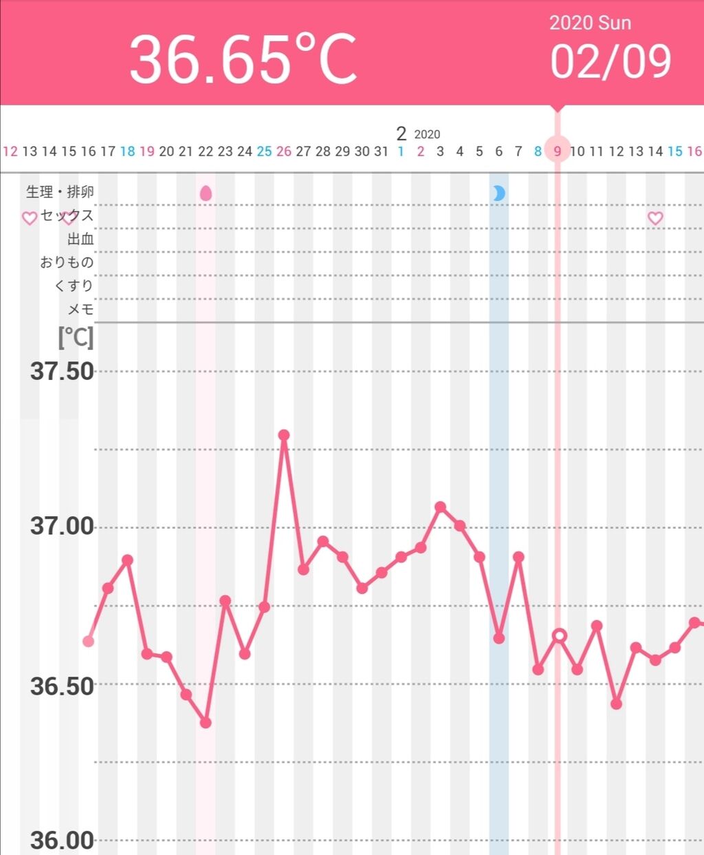 生理予定日 フライング検査 陽性 アラサー女のリアル日記