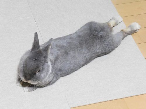 足の滑り止めマット Blumen Meer