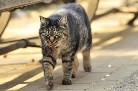 CAT02_2405