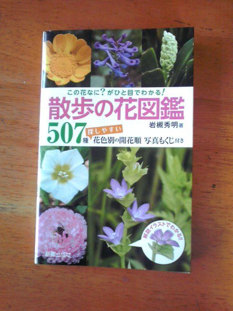 読書感想 植物図鑑 有川浩 キママ日記 読書感想 植物図鑑 有川浩 キママ日記