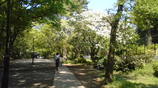 e211e384.jpg