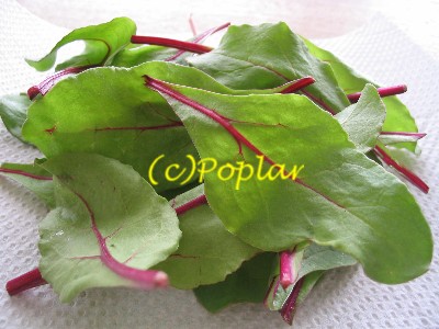 葉野菜を食べよう フランスのおへそのアパルトマンから