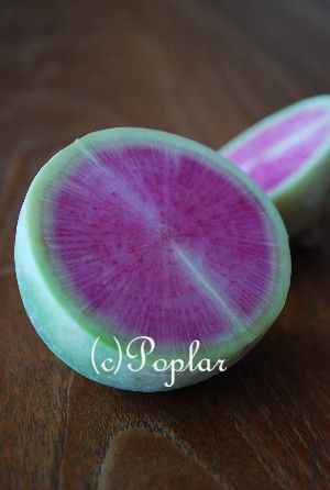 スイカ蕪と茶長カブ フランス暮らしとおいしいものたち
