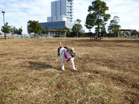 P1000691