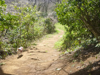 P1210883
