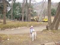 P1200166