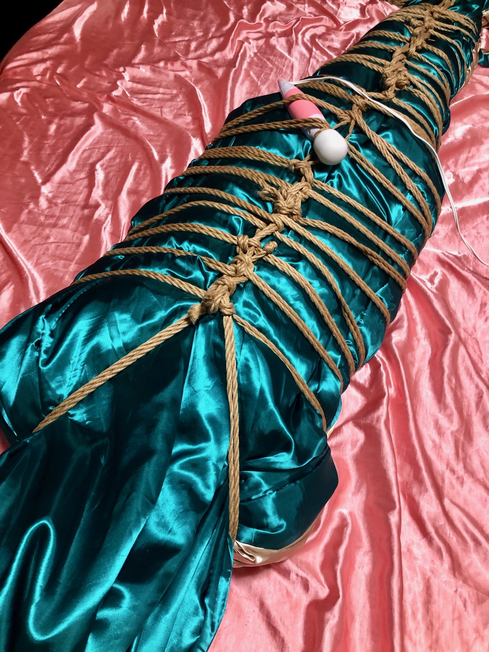  緊縛、Bondage、Rope、Kinbaku、Shibari : SM Apartment~雛奈子のBlog~ Bildidee 