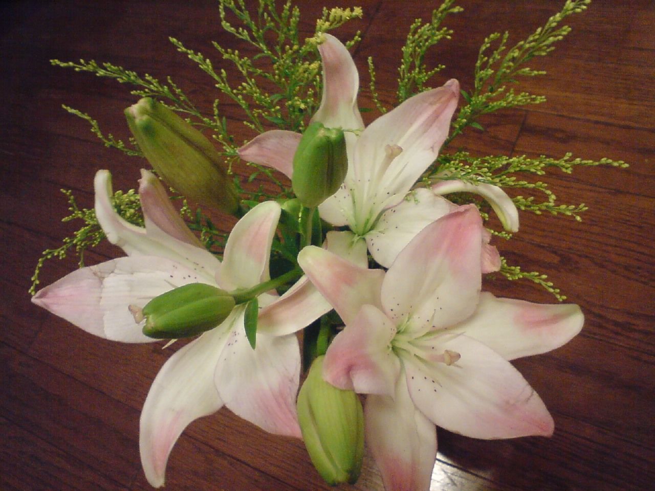 Happy Birthday 恋次 月とひなげし Happy Birthday 恋次 月とひなげし