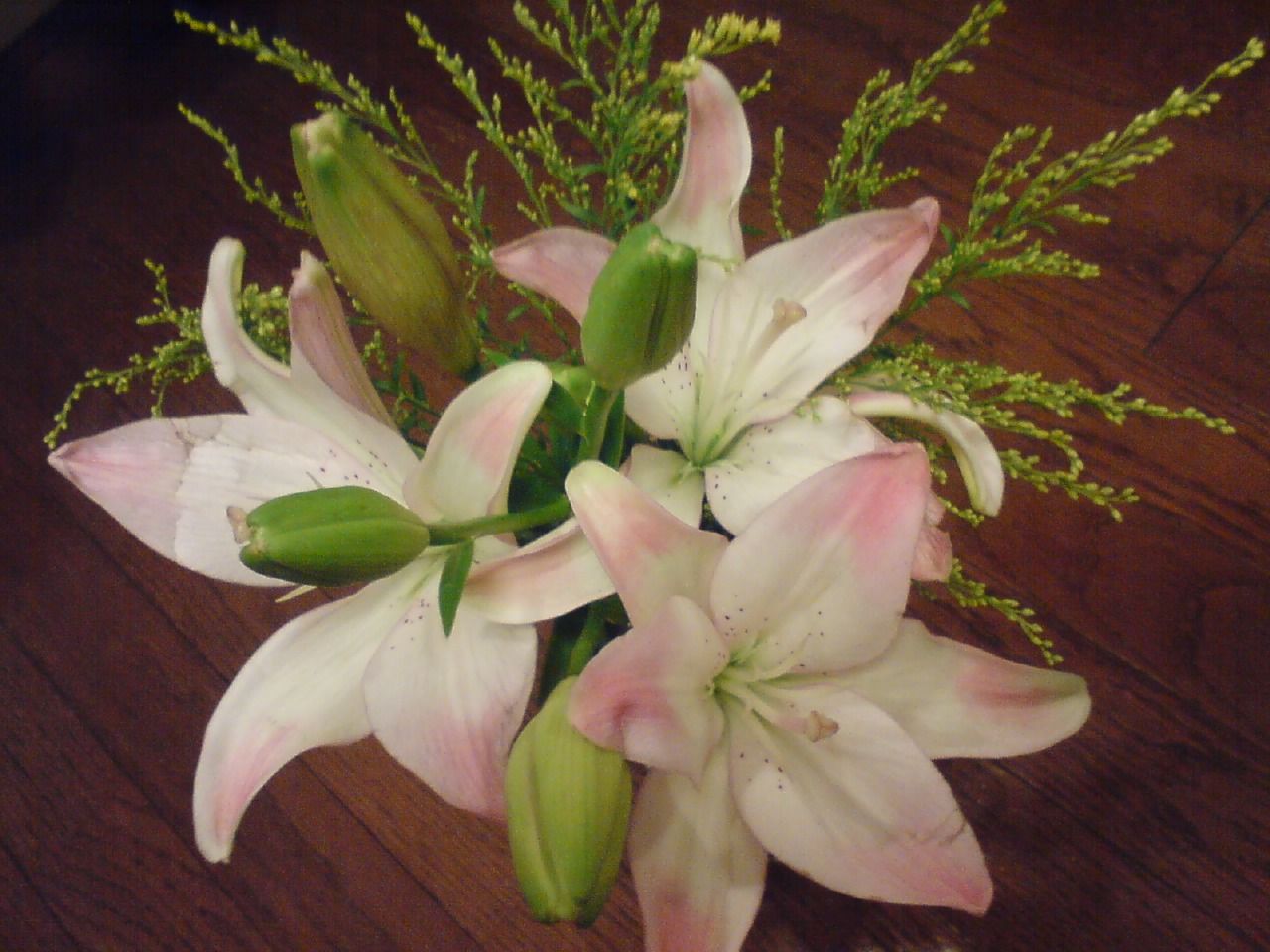 Happy Birthday 恋次 月とひなげし Happy Birthday 恋次 月とひなげし