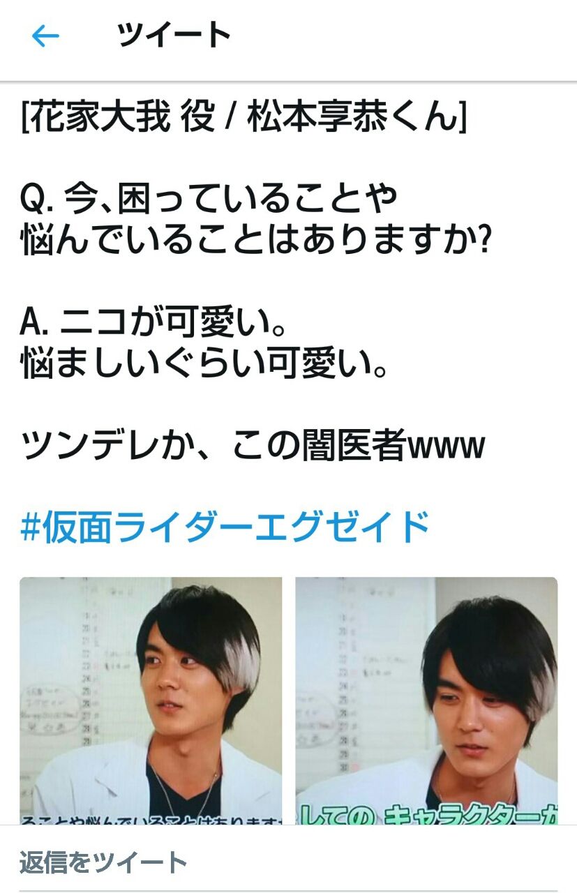 仮面ライダーエグゼイド Blu Ray Collection 2を購入しました 月とひなげし