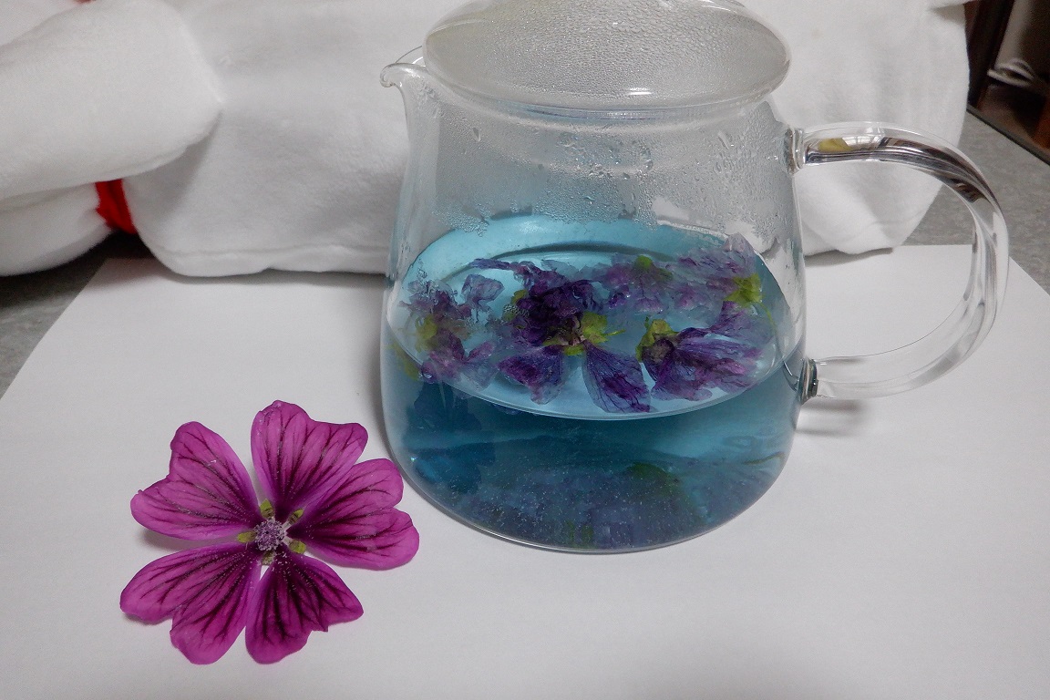 ハーブティー ポプリの気ままな日々