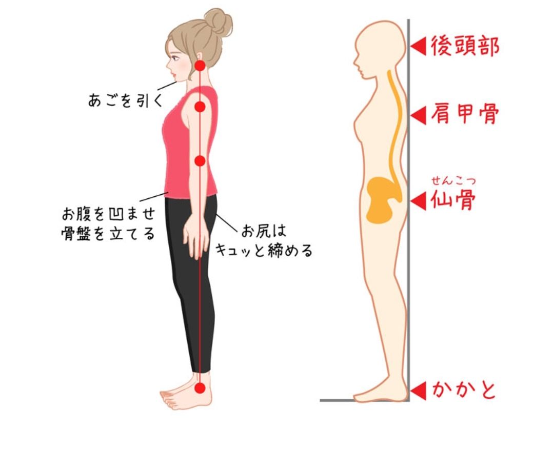 正しい歩き方 の前に正しい姿勢のお伝えです ダイエット奮闘日記