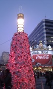 IMAG0381