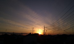 IMAG0365