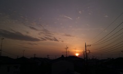 IMAG0347