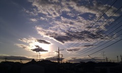 IMAG0343