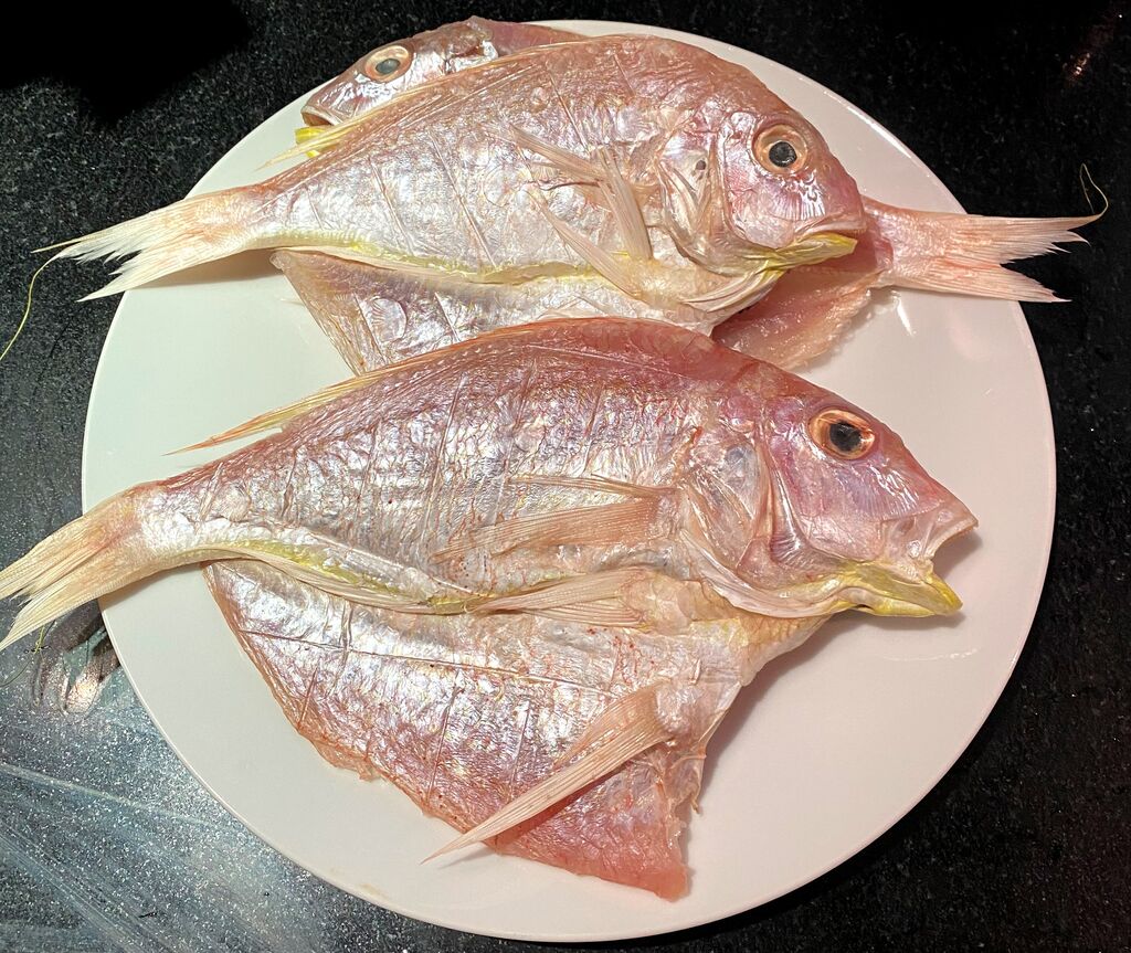 ドバイの安いけどうまい魚ランキング 個人的感想 カマトンblog ドバイの安いけどうまい魚ランキング 個人的感想 カマトンblog