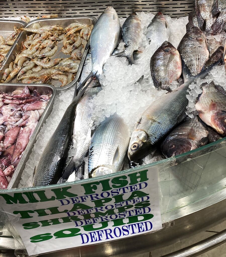 ドバイの魚を食べたい③ : カマトンblog
