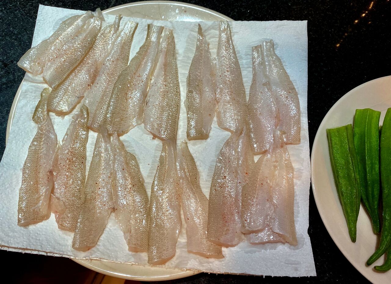 ドバイの魚を食べたい カマトンblog