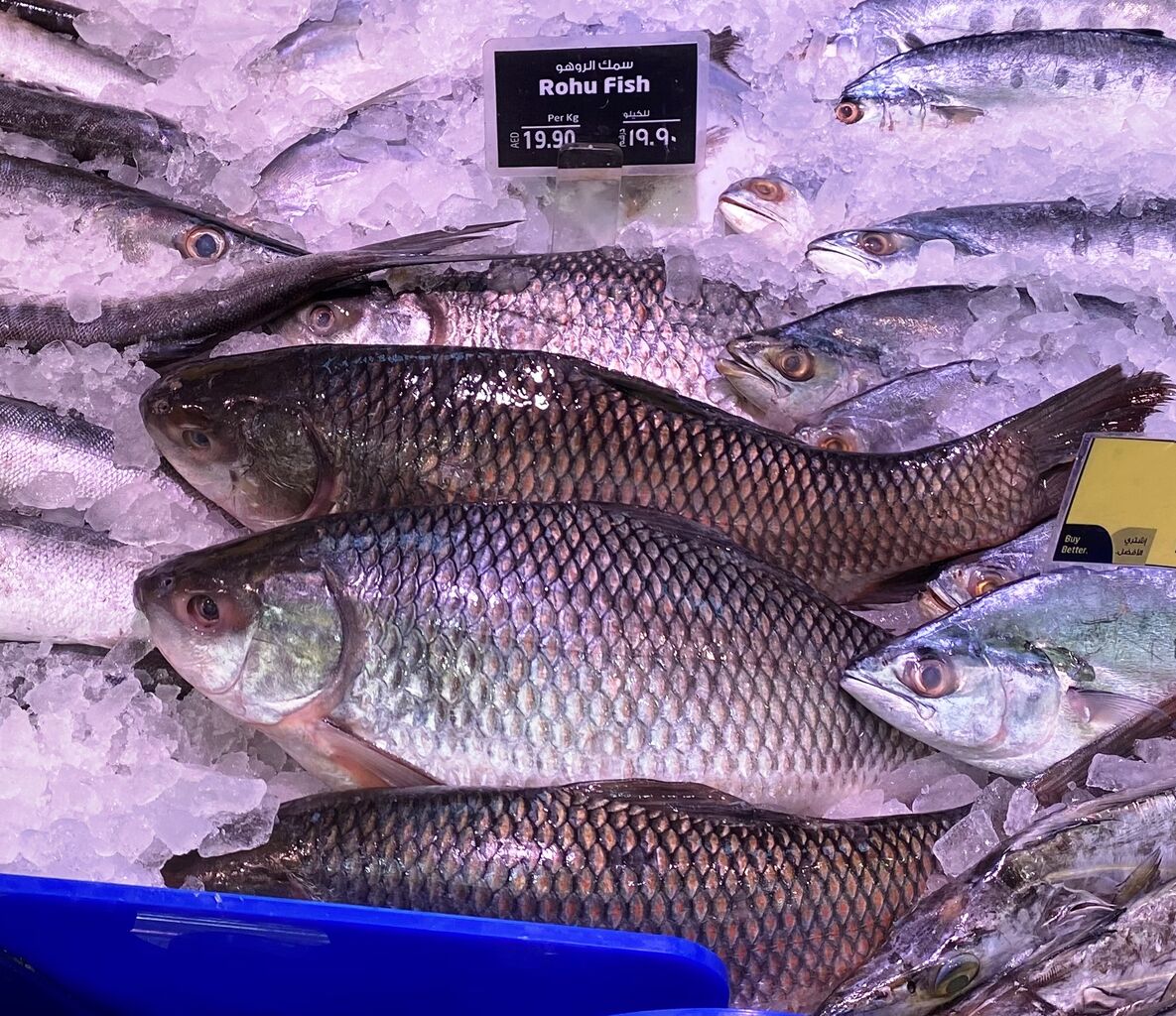 Sole 意味 魚