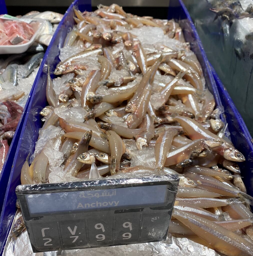 ドバイの魚を食べたい カマトンblog