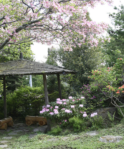 2011514���㤯�ʤ�