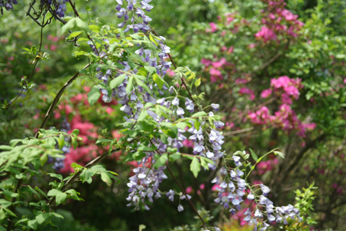 �����β֤���