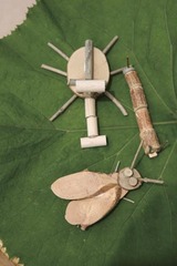 ����ե��ߥ꡼