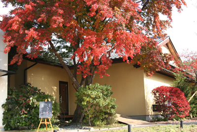 シンボル紅葉1