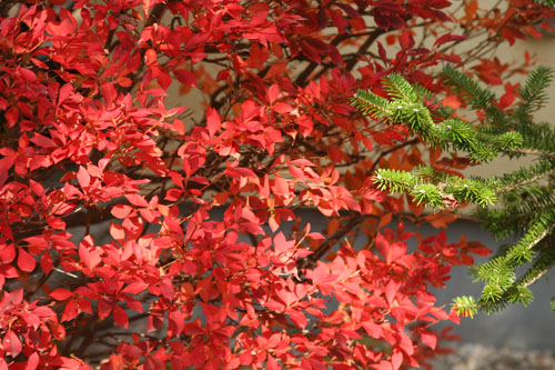 09�ɤ��������