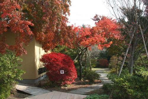 09������ȥ�󥹹���