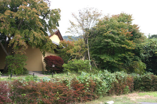 10紅葉・ぽるぺっぽ