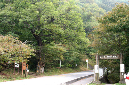 10紅葉・みのわ