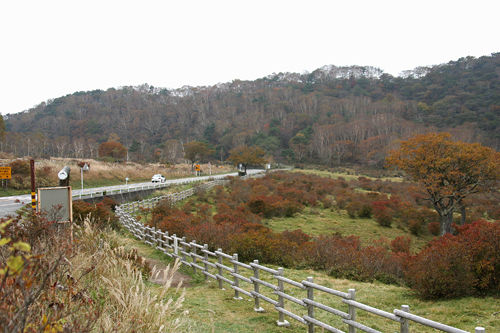 10紅葉・新坂平