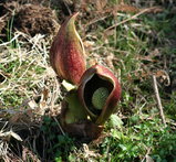 ������01