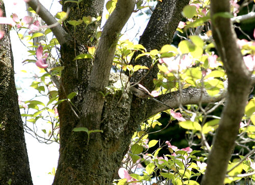 2011514���ʥ�