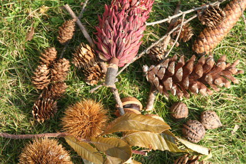 �ڤμ¤��äѤ�